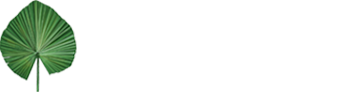 charleston drug treatment centers